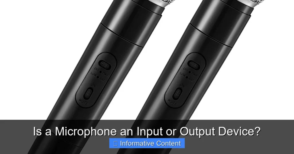Is a Microphone an Input or Output Device?