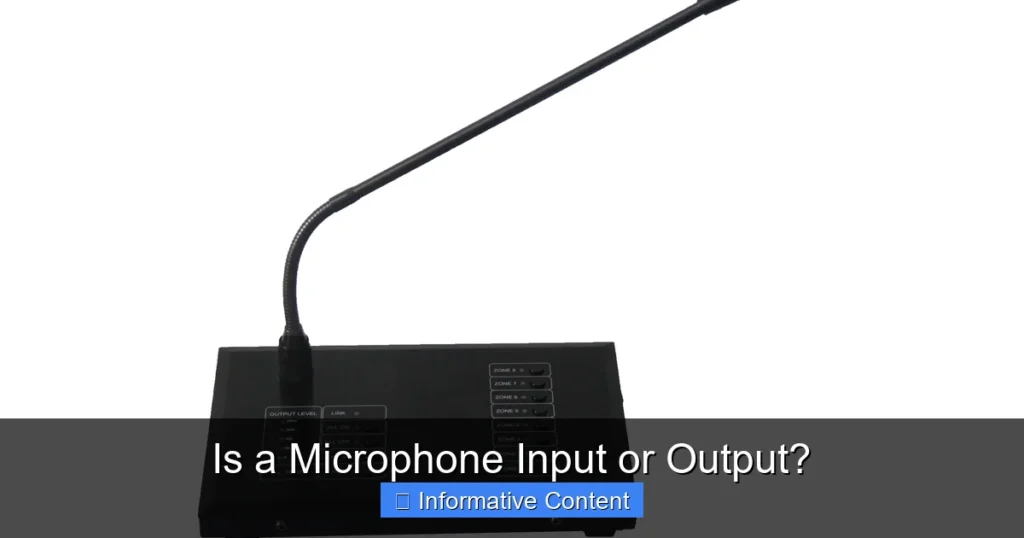 Is a Microphone Input or Output?