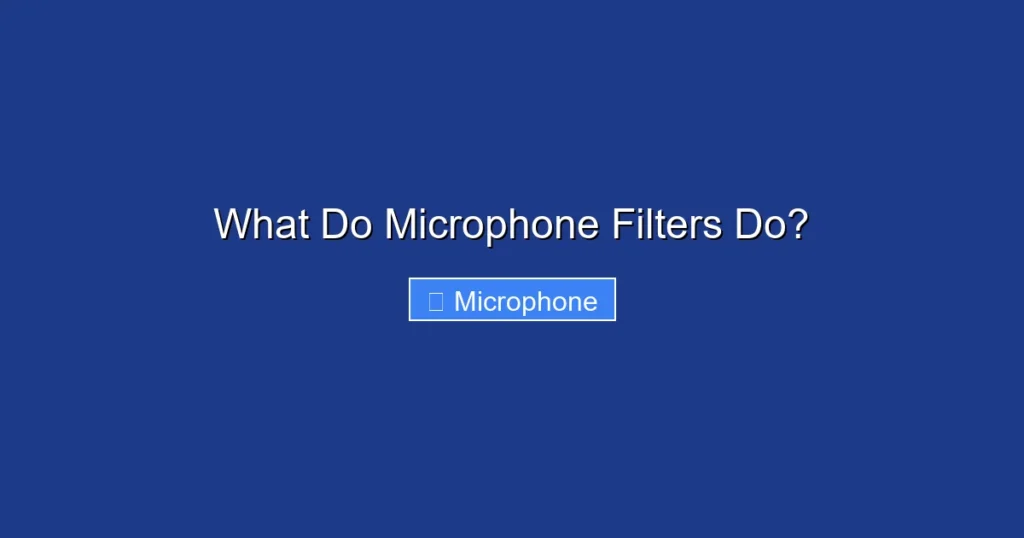 What Do Microphone Filters Do?