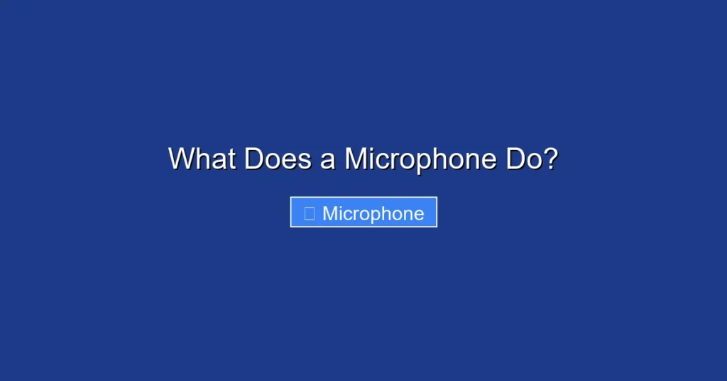 What Does a Microphone Do?