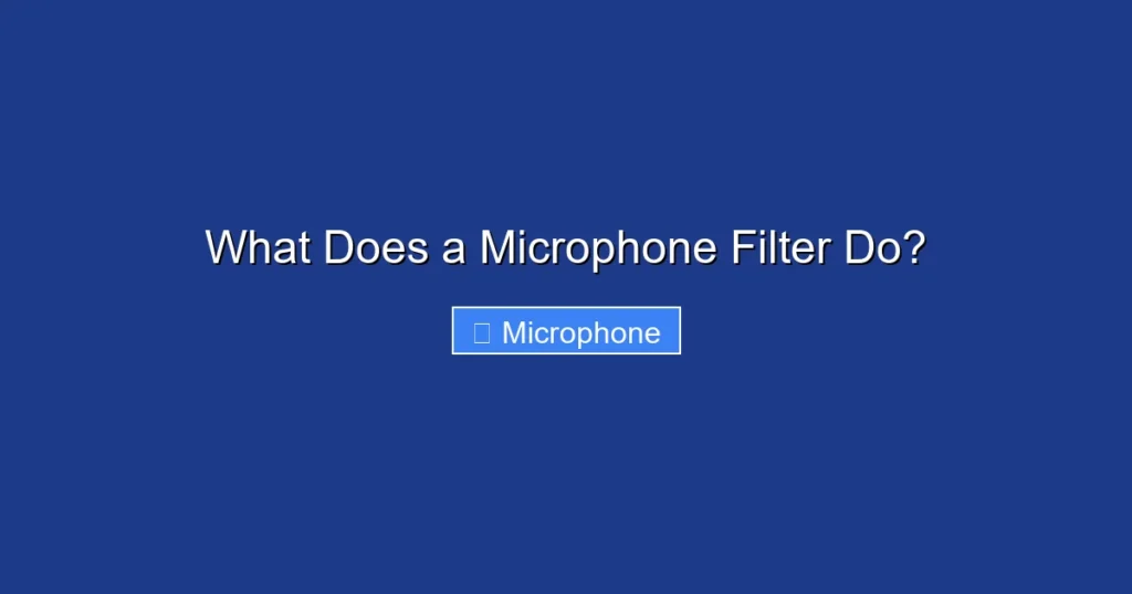What Does a Microphone Filter Do?
