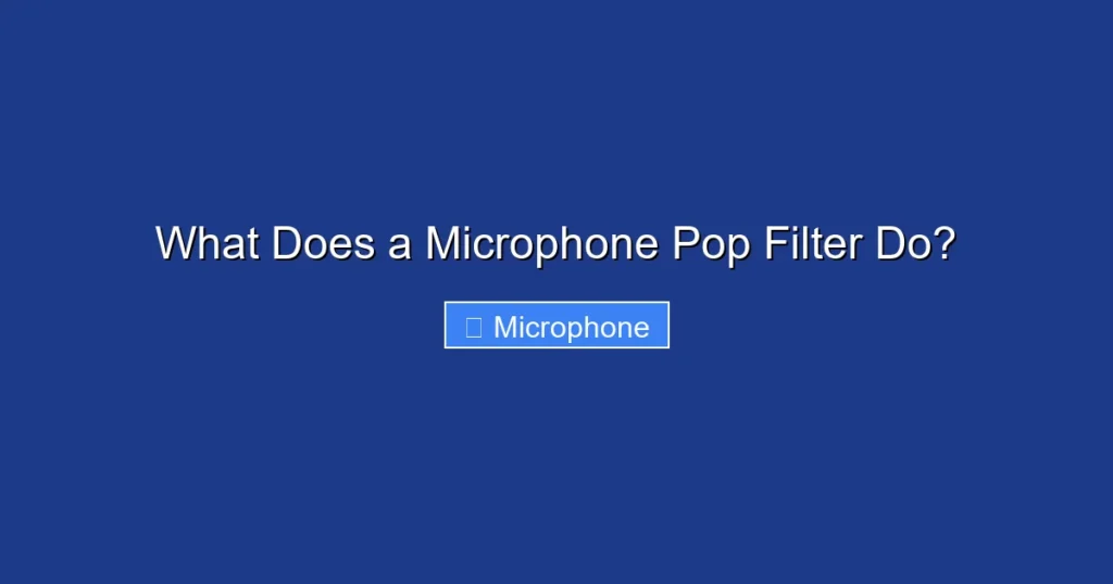 What Does a Microphone Pop Filter Do?