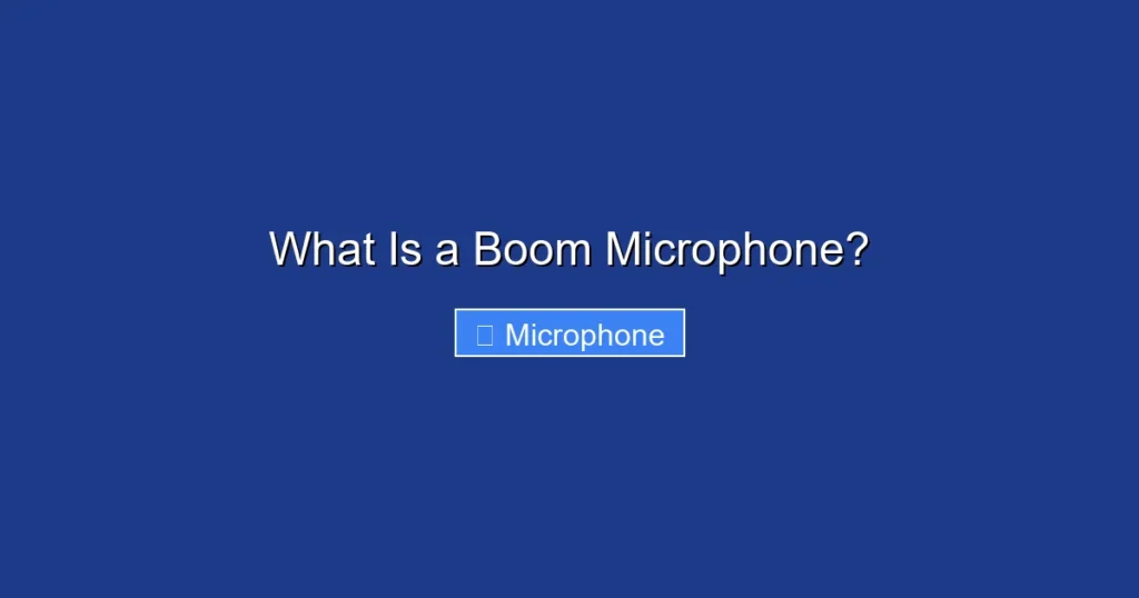What Is a Boom Microphone?