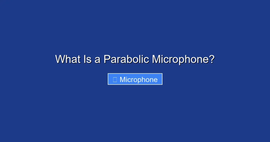 What Is a Parabolic Microphone?