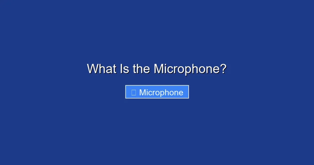What Is the Microphone?