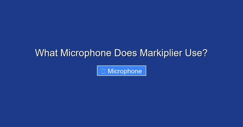 What Microphone Does Markiplier Use?