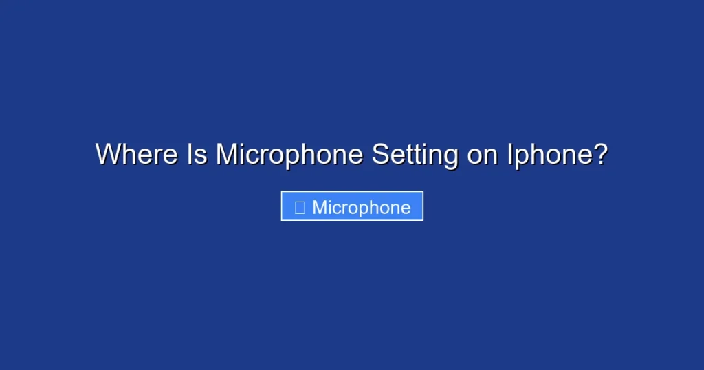 Where Is Microphone Setting on Iphone?