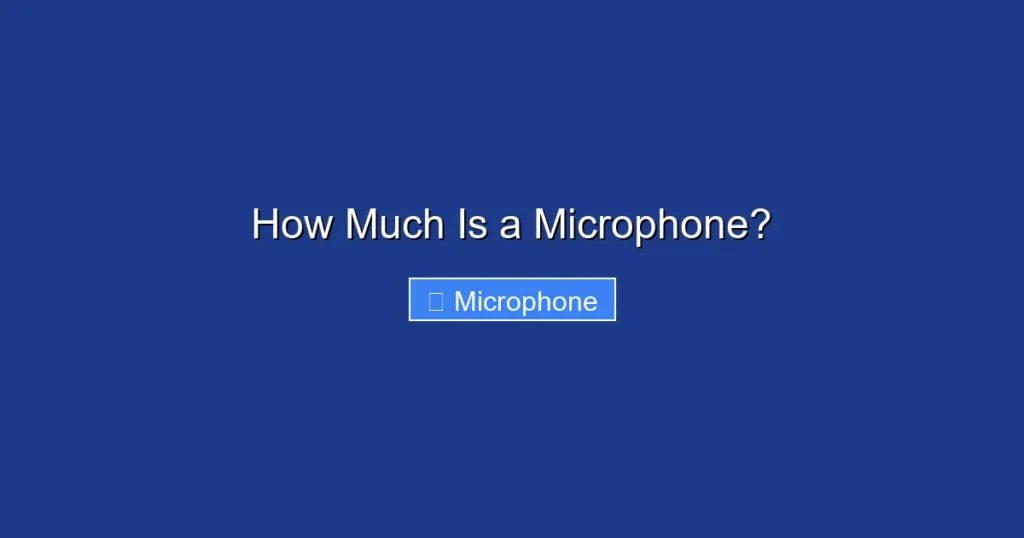 How Much Is a Microphone?