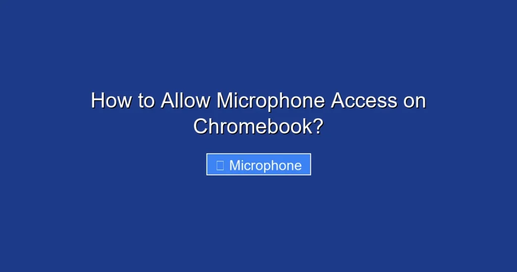 How to Allow Microphone Access on Chromebook?