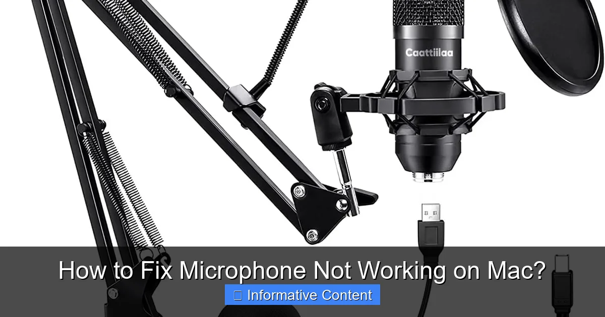 How to Fix Microphone Not Working on Mac?